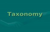 Taxonomy Taxonomy Taxonomy is the scientific study of how living things are classified.Taxonomy is the scientific study of how living things are classified.
