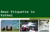 Bear Etiquette in Katmai. Problem: impacts to wildlife; crowding Management Strategies: harden the resource; increase supply; reduce the impact of use;