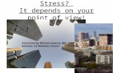 Stress? It depends on your point of view! Presented by Michele Guerra, MS, CHES Director, UI Wellness Center.