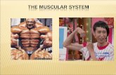 The study of the muscles -Myology.  Various movements of the body are made possible due to the contraction of the muscles.  40 to 50% of body weight.