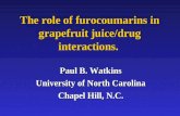 The role of furocoumarins in grapefruit juice/drug interactions. Paul B. Watkins University of North Carolina Chapel Hill, N.C.