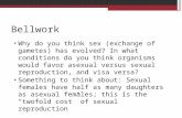 Bellwork Why do you think sex (exchange of gametes) has evolved? In what conditions do you think organisms would favor asexual versus sexual reproduction,