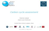 Carbon cycle assessment Patricia Cadule Jean-Louis Dufresne Institut Pierre Simon Laplace, Paris. CCI-CMUG, 27 May 2015.