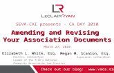 Amending and Revising Your Association Documents SEVA-CAI presents - CA DAY 2010 Amending and Revising Your Association Documents March 27, 2010 Elizabeth.