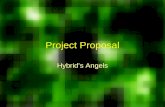 Project Proposal Hybrid’s Angels. Proposal Outline Problem Description Proposed Solution Project Deliverables Available Technologies Engineering Content.