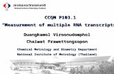 Chemical Metrology and Biometry Department National Institute of Metrology (Thailand) CCQM P103.1 “Measurement of multiple RNA transcripts” Duangkamol.