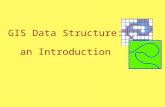 GIS Data Structure: an Introduction. Real world Land use Elevation Parcels Streets Retail Some Key GIS Elements: Layer –A category of geographic features.