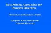 Data Mining Approaches for Intrusion Detection Wenke Lee and Salvatore J. Stolfo Computer Science Department Columbia University.