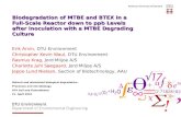 Biodegradation of MTBE and BTEX in a Full-Scale Reactor down to ppb Levels after Inoculation with a MTBE Degrading Culture Erik Arvin, DTU Environment.