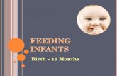 F EEDING I NFANTS Birth – 11 Months. I NFANT M EALS Infant meals: Are required Must meet infant meal pattern.