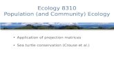 Ecology 8310 Population (and Community) Ecology Application of projection matrices Sea turtle conservation (Crouse et al.)