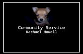 Community Service Rachael Howell. Acworth Animal Hospital I used to work at Acworth Animal Hospital. Recently, I volunteered my time to play with the.