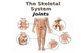 The Skeletal System Joints. Joints  Articulations of bones  Functions of joints  Hold bones together  Allow for mobility  Ways joints are classified.