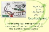 How can you decrease your… The ecological footprint is a measure of human demand on the Earth's ecosystems.