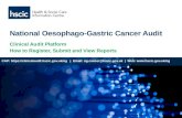 National Oesophago-Gastric Cancer Audit Clinical Audit Platform How to Register, Submit and View Reports CAP:  | Email: