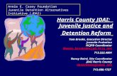 Harris County JDAI: Juvenile Justice and Detention Reform Tom Brooks, Executive Director Juvenile Probation HCJPD Coordinator Thomas.brooks@hcjpd.hctx.net.