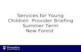 Services for Young Children Provider Briefing Summer Term New Forest.