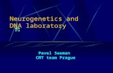 Neurogenetics and DNA laboratory Pavel Seeman CMT team Prague.