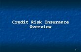 1 Credit Risk Insurance Overview 2 CREDIT RISK INSURANCE What It Is and Is Not What It Is and Is Not How Does It Help How Does It Help Underwriting Philosophies.