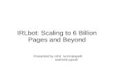 IRLbot: Scaling to 6 Billion Pages and Beyond Presented by rohit tummalapalli sashank jupudi.
