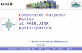 1 Compressed Baryonic Matter at FAIR:JINR participation Hadron Structure 15, 29 th June- 3 th July, 2015 P. Kurilkin on behalf of CBM JINR group VBLHEP,