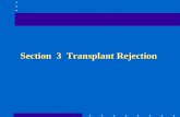 Section 3 Transplant Rejection. 1. Terms:  Autograft  Autograft : transplantation within the same individual  Isograft or syngeneic graft  Isograft.