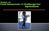 Food and Nutrition  World Food Problems  Principle Types of Agriculture  Challenges of Producing More Crops and Livestock  Environmental Impact.