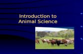 Introduction to Animal Science. Competency: Investigate agriculture animals in order to build a foundational knowledge for advanced animal science studies.