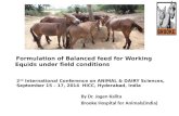 @theBrooke Formulation of Balanced feed for Working Equids under field conditions 2 nd International Conference on ANIMAL & DAIRY Sciences, September 15.