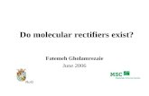 Do molecular rectifiers exist? Fatemeh Gholamrezaie June 2006 RuGRuG.