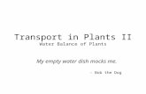 Transport in Plants II Water Balance of Plants My empty water dish mocks me. - Bob the Dog.