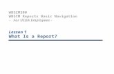 WBSCM300 WBSCM Reports Basic Navigation - For USDA Employees - Lesson 1 What Is a Report?