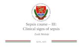 Sepsis course – III: Clinical signs of sepsis Zsolt Molnár SZTE, AITI.
