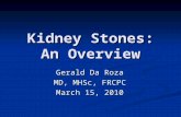 Kidney Stones: An Overview Gerald Da Roza MD, MHSc, FRCPC March 15, 2010.
