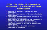[IV] The Role of Chromatin Structure in Control of Gene Expression Overview of levels of control of gene expression Chromatin structure in active or potentially.
