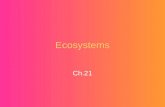 Ecosystems Ch.21. (21-1) Terrestrial Biomes Biomes: large terrestrial ecosystems that contain smaller ecosystems w/in them 7 major biomes