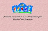 1 Family Law: Common Law Perspectives from England and Singapore.