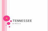 T ENNESSEE By Amelia N. Geography Tennessee’s major cities are Nashville, Memphis, Knoxville, and Chattanooga. Some of the land Forms are Appalachian.