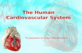 The Human Cardiovascular System * In preparation for a pig’s heart dissection Larry M. Frolich, Ph.D.,Human Anatomy.