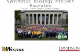 Synthetic Biology Project Examples http://2010.igem.org/Main_Page.