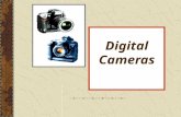 Digital Cameras. Image Capture  Images are captured by the image sensor, then stored in the camera in a memory device.  Sensors convert light into an.
