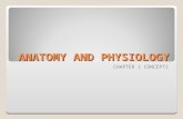 ANATOMY AND PHYSIOLOGY CHAPTER 1 CONCEPTS. STUDIES OF THE BODY DEFINE ANATOMY & PHYSIOLOGY LEVELS OF ORGANIZATION ◦CELL ◦TISSUE ◦ORGAN ◦ORGAN SYSTEM ◦ORGANISM.