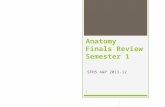 Anatomy Finals Review Semester 1 SFHS A&P 2011-12 0.