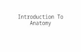 Introduction To Anatomy. Anatomy and Physiology Anatomy is a fun and interesting topic to study It tells us how we function and live in the world However.