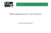 Introduction to run Siesta Javier Junquera Université de Liège.
