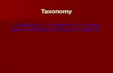Taxonomy a classification of organisms into groups based on similarities of structure or origin etc.