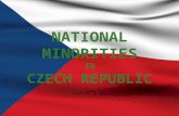 NATIONAL MINORITIES IN CZECH REPUBLIC. LIST OF NATIONAL MINORITIES Ukrainians 53 000 Ukrainians 53 000 Poles40 000 Poles40 000 Vietnamese19 000 Vietnamese19.