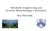 Ka-YiuSan Metabolic Engineering and Systems Biotechnology Laboratory.