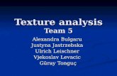 Texture analysis Team 5 Alexandra Bulgaru Justyna Jastrzebska Ulrich Leischner Vjekoslav Levacic Güray Tonguç.