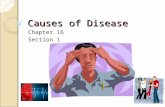 Causes of Disease Chapter 16 Section 1. Objectives Identify five common types of pathogen Describe three ways infectious disseases are spread Distinguish.
